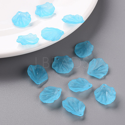 Transparent Frosted Acrylic Pendants MACR-S371-01A-755-1