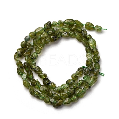Natural Peridot Beads Strands X-G-I389-A27-1