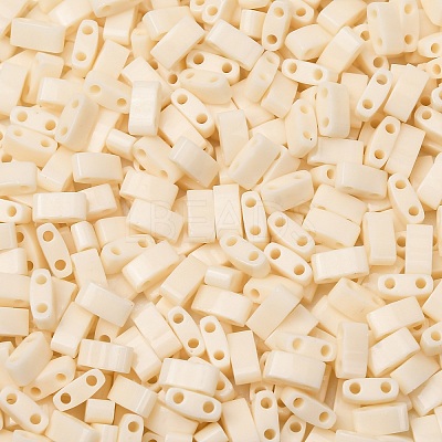 MIYUKI Half TILA Beads SEED-X0054-HTL491-1