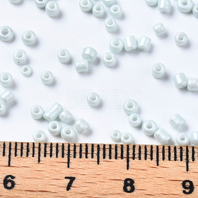 12/0 Glass Seed Beads SEED-S060-A-F408-1