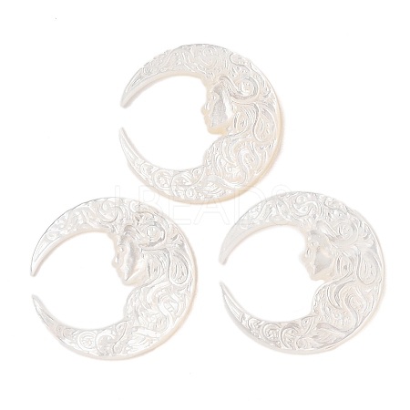 Natural White Shell Carved Cabochons SSHEL-C012-11-1