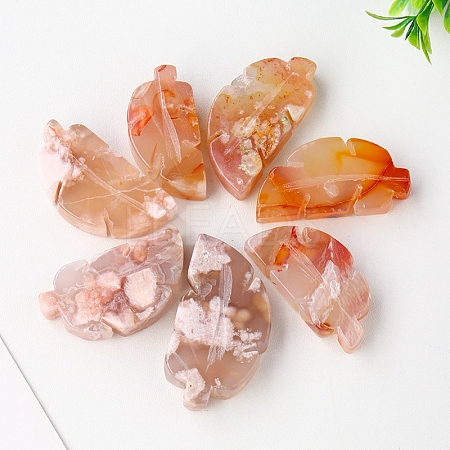 Natural Cherry Blossom Agate Display Decorations G-PW0004-28-1