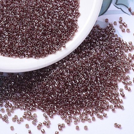 MIYUKI Delica Beads X-SEED-J020-DB1222-1
