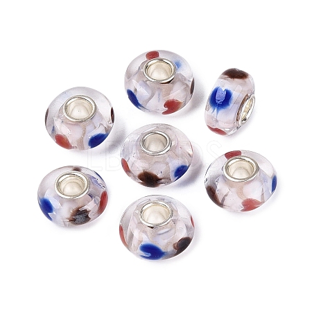 Handmade Lampwork & Brass Core European Beads LAMP-N044-04S-01-1