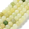 Natural New Jade Round Beads Strands G-O039-16-6mm-01-1