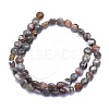 Natural Botswana Agate Beads Strands G-K310-D01-8mm-2