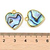 Natural Paua Shell Pendants KK-E059-10G-3