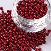 Baking Paint Glass Seed Beads SEED-S001-K14-1