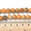 Dyed Natural Dolomite Beads Strands G-D337-8mm-D05-5