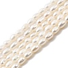 Natural Cultured Freshwater Pearl Beads Strands PEAR-I007-01O-01A-2
