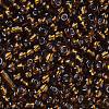 6/0 Glass Seed Beads X1-SEED-A005-4mm-53-2