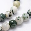 Natural Tree Agate Beads Strands X-G-I199-03-4mm-3