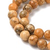 Dyed Natural Dolomite Beads Strands G-D337-8mm-D05-4
