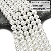 Eco-Friendly Dyed Glass Pearl Round Beads Strands HY-A002-10mm-RB001-2