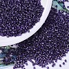 MIYUKI Delica Beads SEED-X0054-DB0464-1