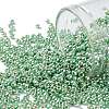 TOHO Round Seed Beads SEED-XTR11-PF0570-1