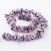 Natural Shell Bead Strands BSHE-P010-01-2