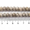 Natural Conch Fossil Beads Strands G-K380-A41-01-5