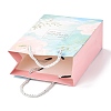 Rectangle Paper Bags LS-CARB-J002-04B-01-4