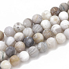 Natural Bamboo Leaf Agate Beads Strands X-G-T106-026-1