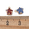 Brass Glass Charms KK-D355-03G-3