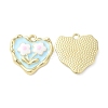Alloy Enamel Pendants ENAM-D050-12G-2