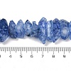 Natural Crackle Quartz Beads Strands G-R012-B06-05-4