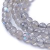 Natural Labradorite Beads Strands G-F627-10-A-3