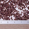 MIYUKI Delica Beads SEED-J020-DB0120-4