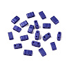 2-Hole Baking Paint Glass Seed Beads SEED-S023-17B-10-1