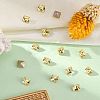 Preciosa&reg MAXIMA Crystal Fancy Stones X-PRC-FA6-80100-3