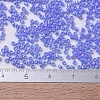 MIYUKI Delica Beads X-SEED-J020-DB0167-4