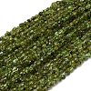 Natural Peridot Beads Strands G-I389-A27-2