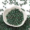 Transparent Inside Colours Glass Seed Beads SEED-H002-A-C221-2