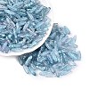 Picasso Transparent Glass Seed Beads SEED-N012-11J-1