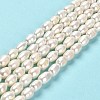 Natural Cultured Freshwater Pearl Beads Strands PEAR-E016-195-2