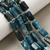 Natural Apatite Beads Strands GG-CBA8682-A06-1