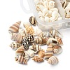5 Styles Mixed Natural Shell Beads SSHEL-YW0001-03-2