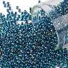 TOHO 11/0 Round Beads X-SEED-TR11-0540-1