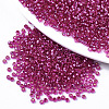 Glass Seed Beads X1-SEED-S042-04A-03-1