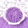 FGB Frosted Transparent Glass Seed Beads SEED-N013-02A-07-2