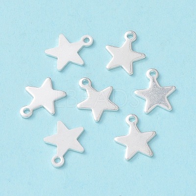 304 Stainless Steel Charms STAS-L234-069S-1