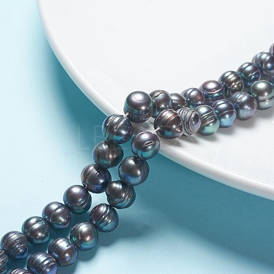 Natural Cultured Freshwater Pearl Beads Strands PEAR-R012-01-1
