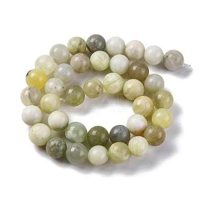 Natural New Jade Beads Strands G-F591-16-10MM-1