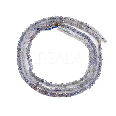 Natural Iolite Beads Strands G-F789-02-1