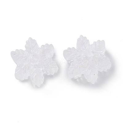 Transparent Acrylic Beads X-OACR-P007-30-1