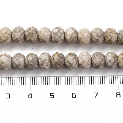 Natural Conch Fossil Beads Strands G-K380-A41-01-1