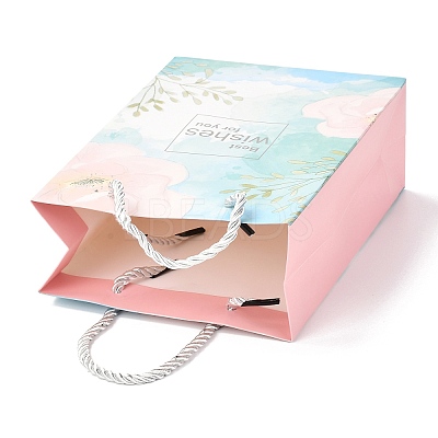 Rectangle Paper Bags LS-CARB-J002-04B-01-1