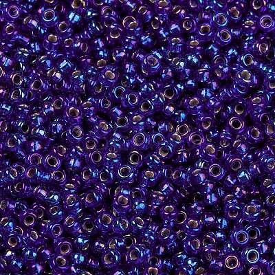MIYUKI Round Rocailles Beads X-SEED-G009-RR1020-1