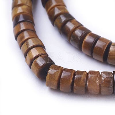 Natural Picture Jasper Beads Strands G-G783-10B-1